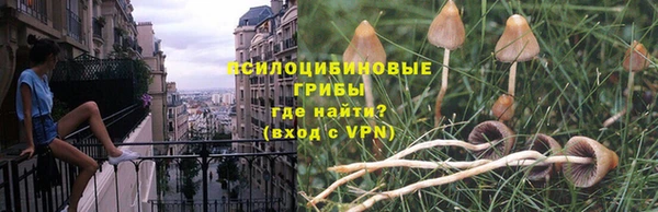 ешки Алексин